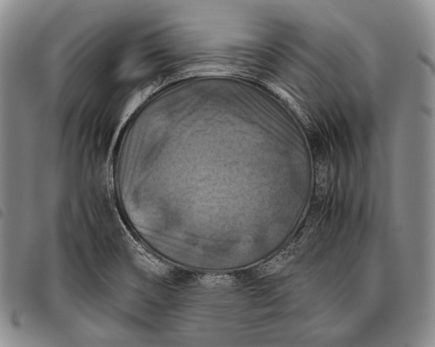 X0000096641466200802191208