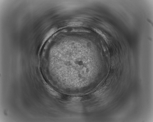 X0000096641467200802191208