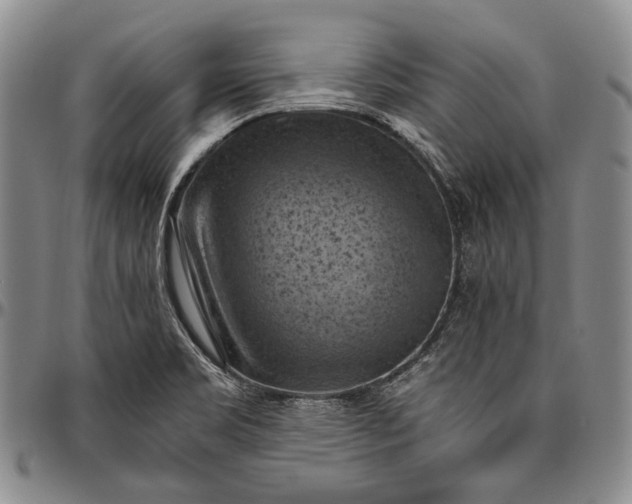 X0000096641469200802191208