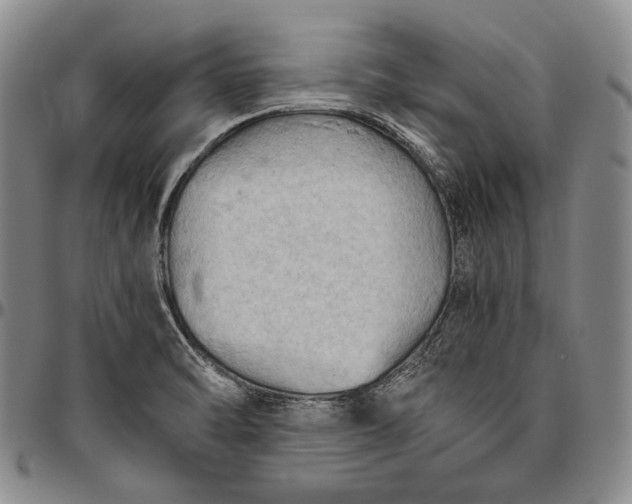 X0000096641470200802191208