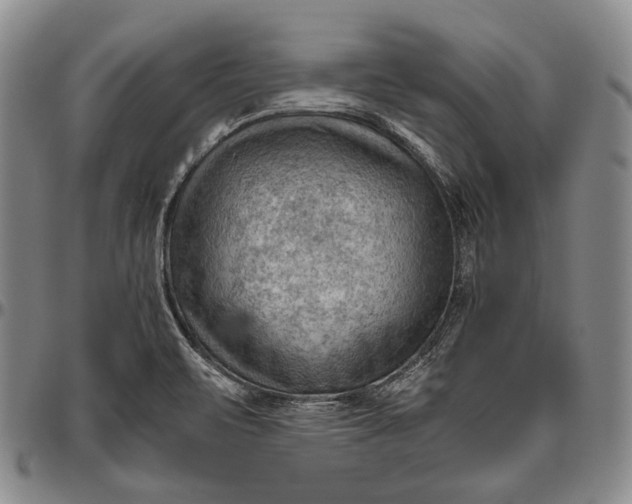 X0000096641471200802191208