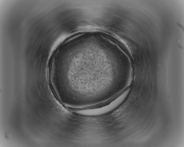 X0000096641472200802191208