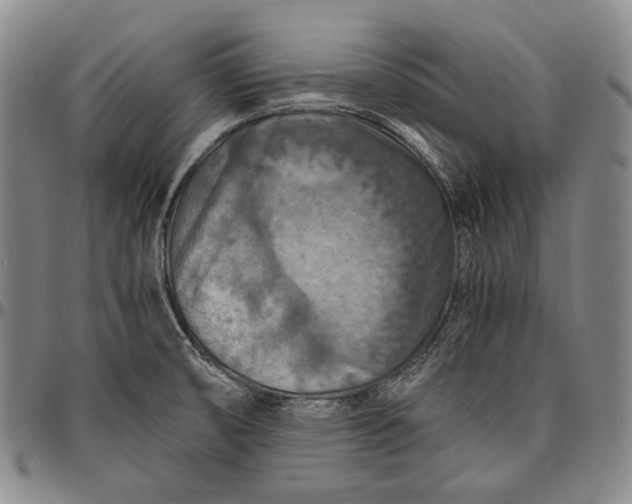 X0000096641474200802191208