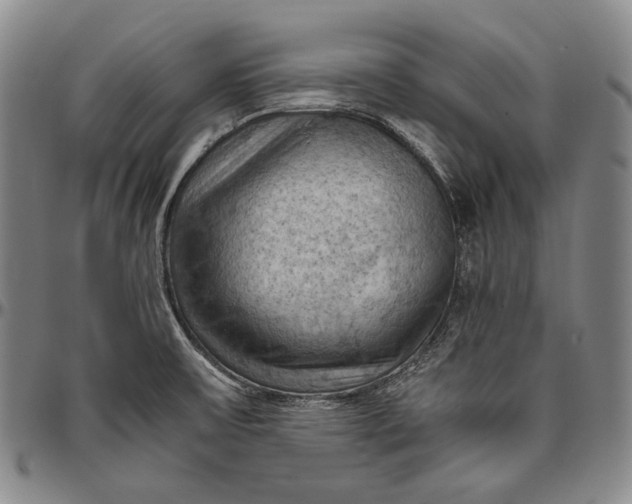 X0000096641475200802191208