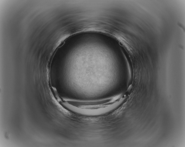 X0000096641476200802191208