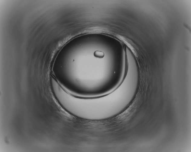 X0000096641477200802191208