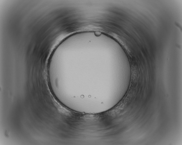 X0000096641478200802191208