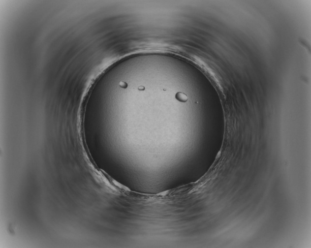 X0000096641480200802191208