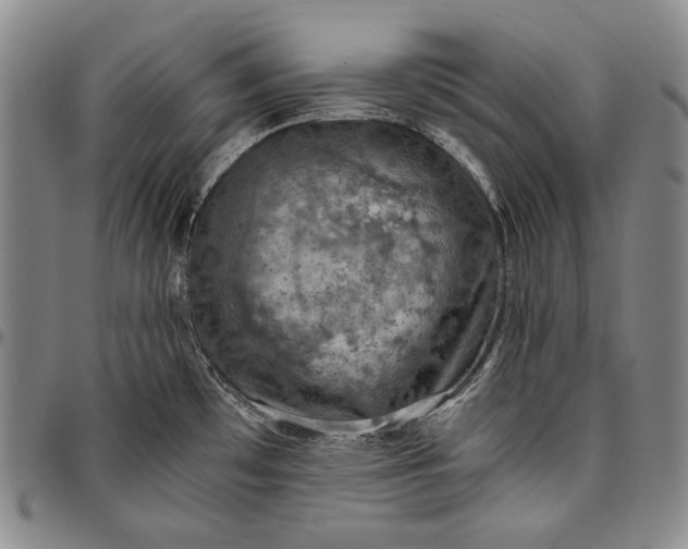 X0000096641481200802191208