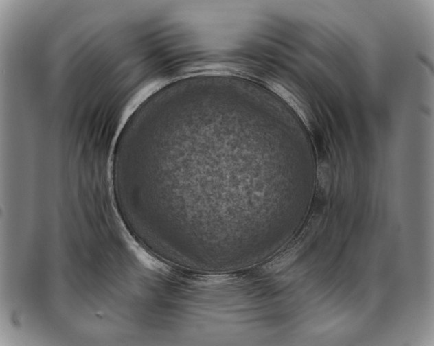 X0000096641482200802191208