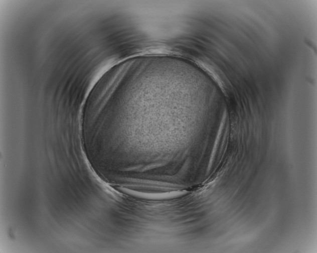 X0000096641483200802191208