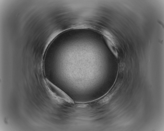 X0000096641484200802191208