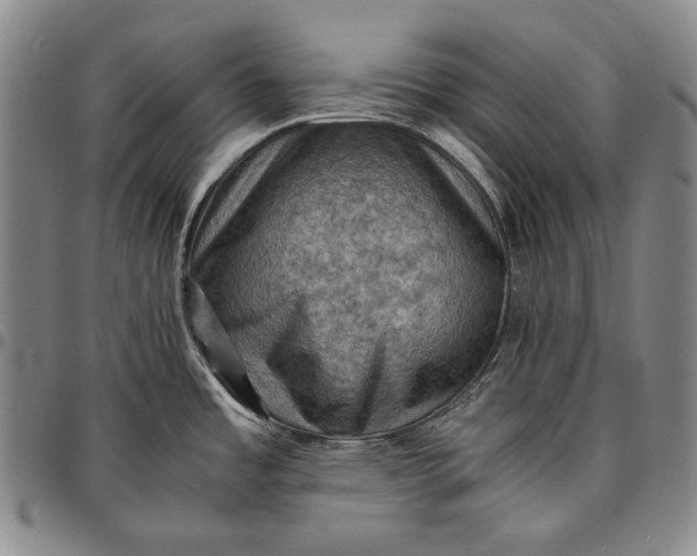 X0000096641485200802191208