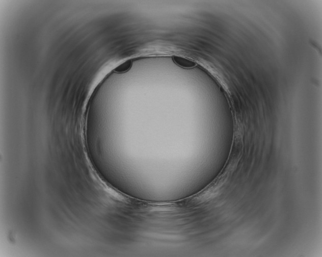 X0000096641486200802191208