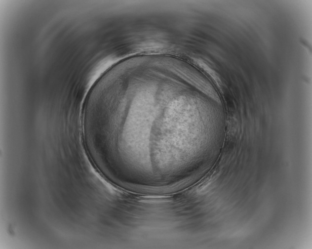 X0000096641487200802191208