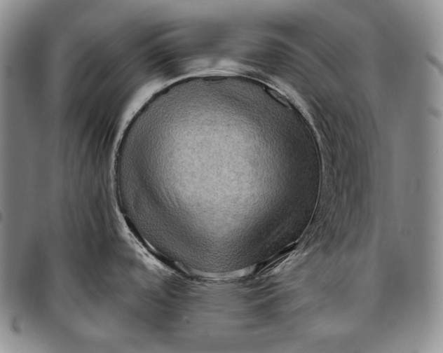 X0000096641488200802191208