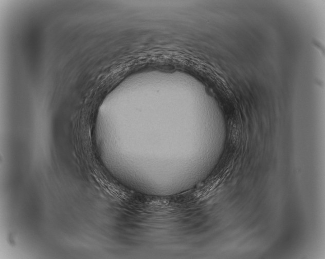 X0000096641489200802191207