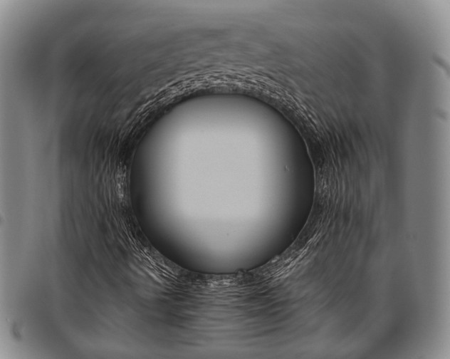 X0000096641490200802191207