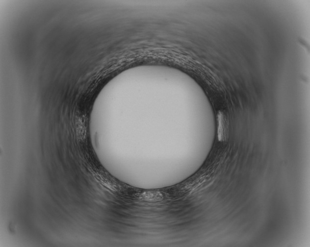 X0000096641491200802191207