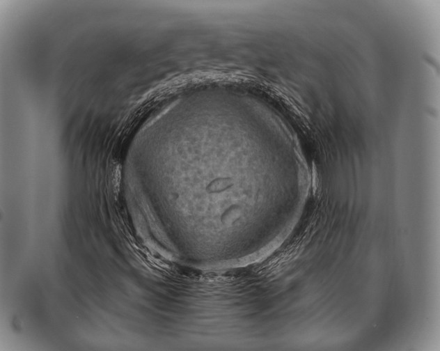 X0000096641492200802191207