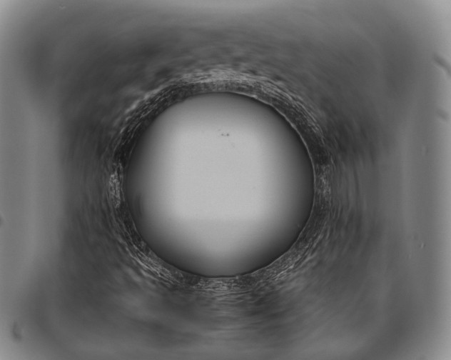 X0000096641493200802191207