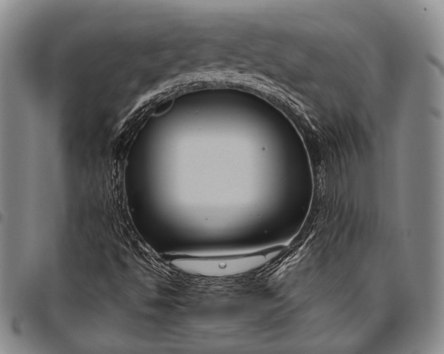 X0000096641494200802191208