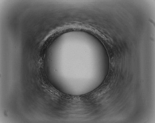 X0000096641495200802191208