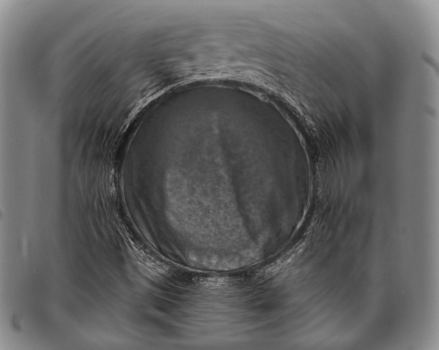 X0000096641497200802191208