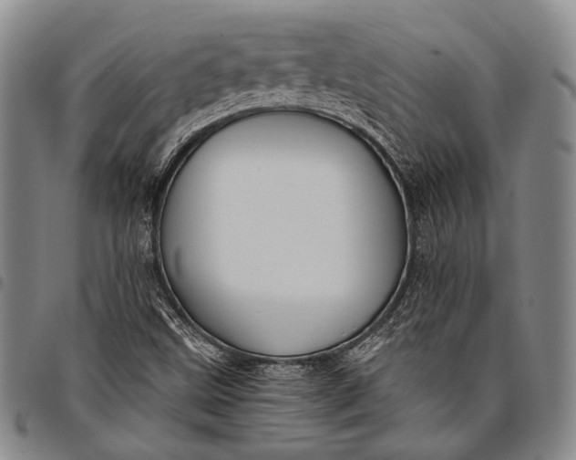 X0000096641499200802191208