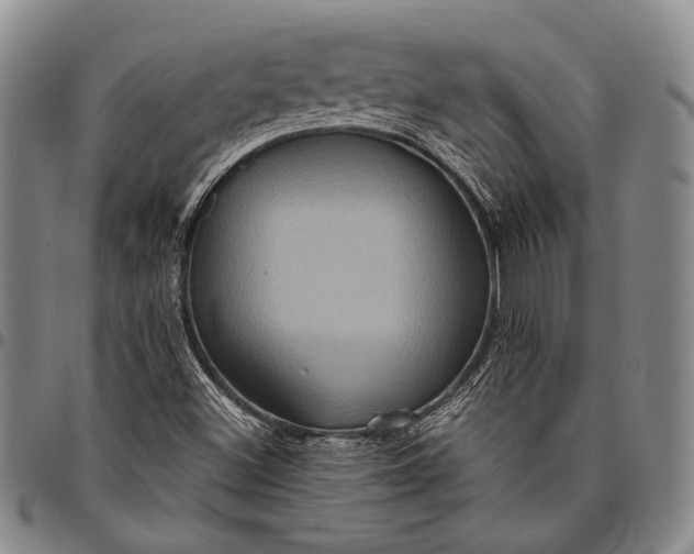 X0000096641500200802191208