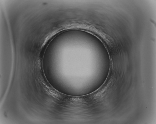 X0000096641501200802191208