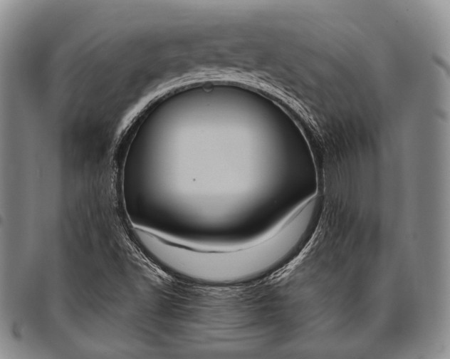 X0000096641502200802191208