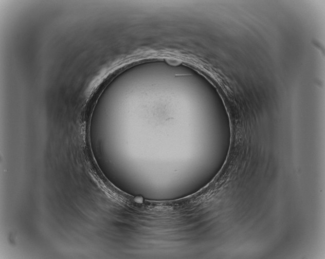 X0000096641503200802191208