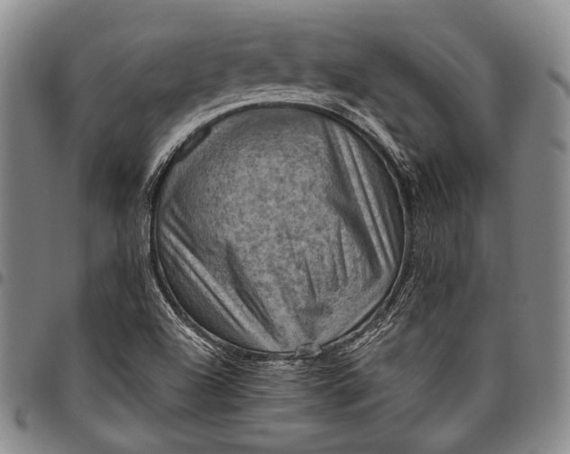 X0000096641504200802191208