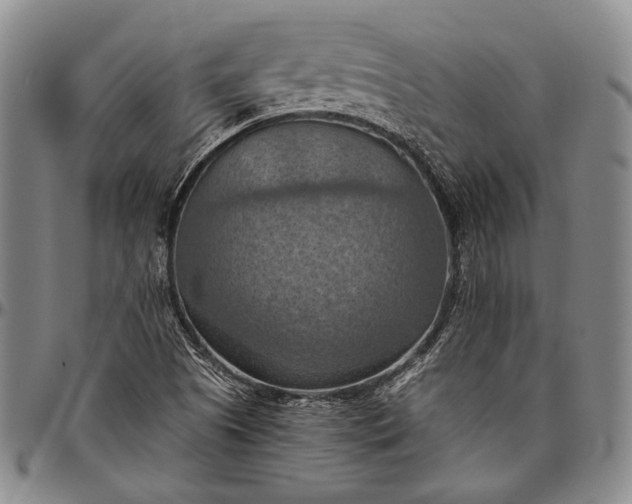 X0000096641505200802191208