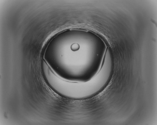 X0000096641506200802191208