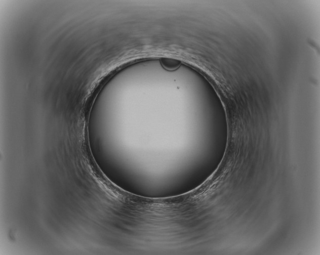 X0000096641507200802191208