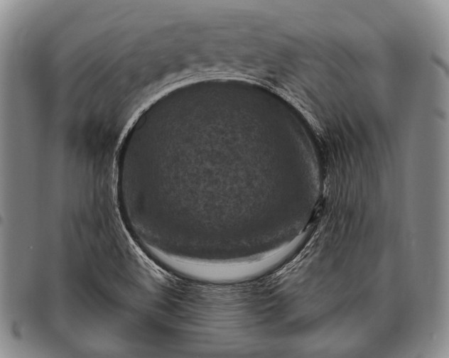 X0000096641508200802191208