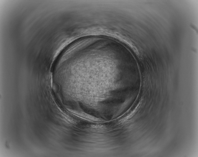 X0000096641509200802191208