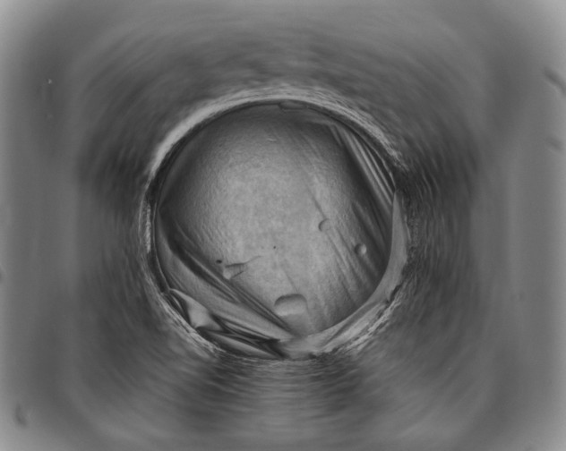 X0000096641510200802191208