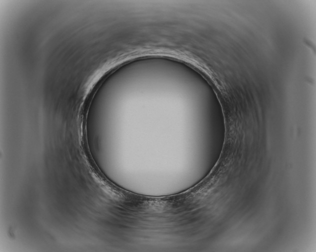 X0000096641511200802191208