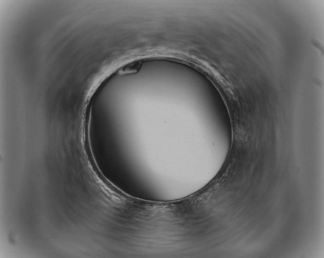 X0000096641512200802191208