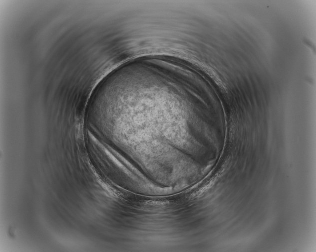 X0000096641513200802191208