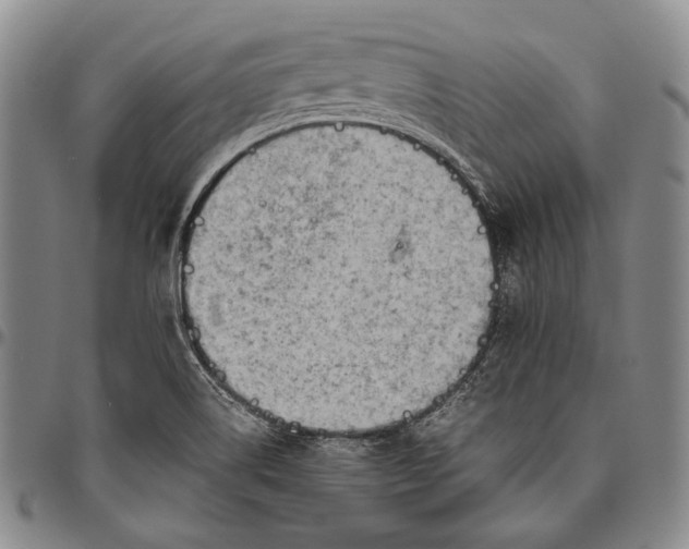 X0000096641514200802191208