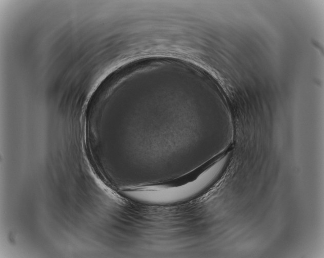 X0000096641515200802191208