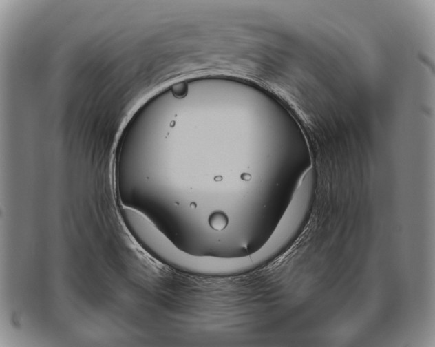 X0000096641516200802191208