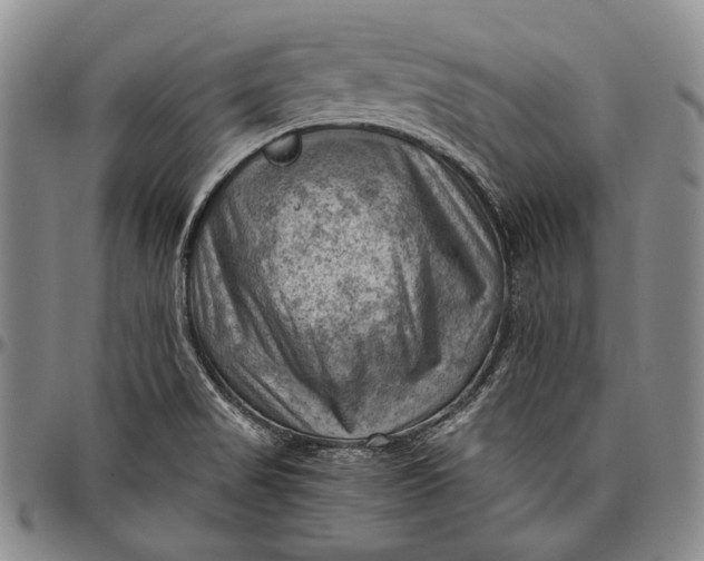 X0000096641517200802191208
