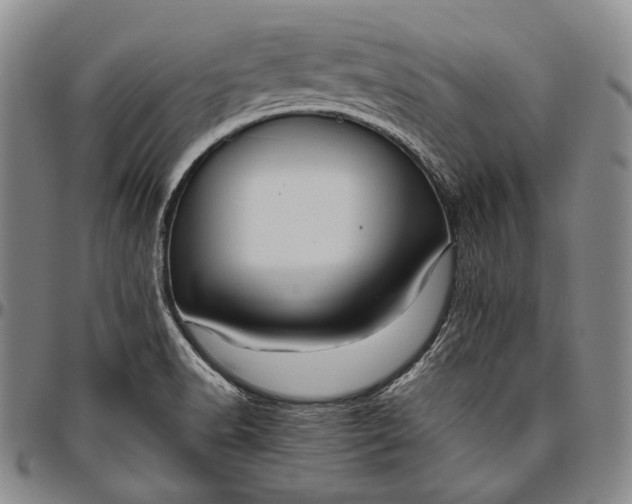 X0000096641518200802191208