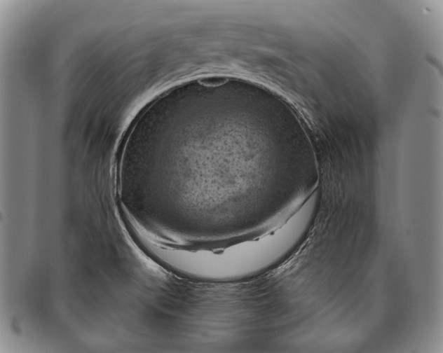 X0000096641519200802191208