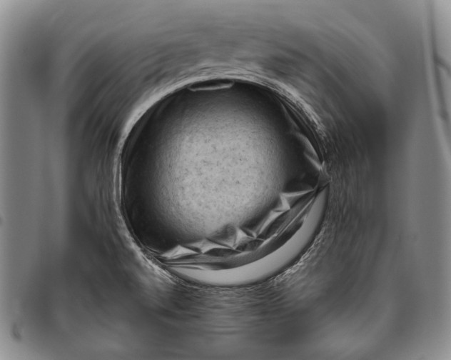 X0000096641520200802191208